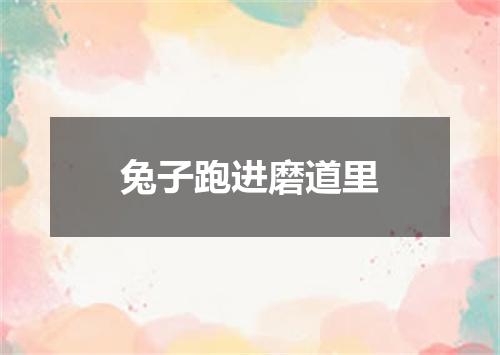 兔子跑进磨道里