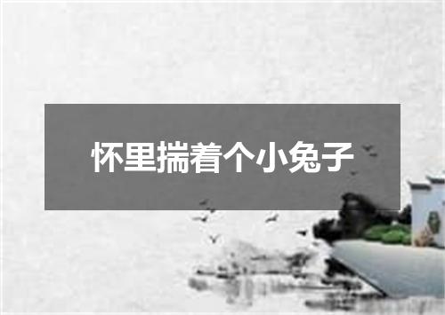 怀里揣着个小兔子