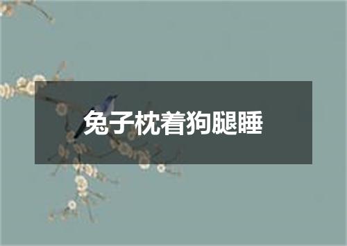 兔子枕着狗腿睡