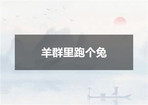 羊群里跑个兔