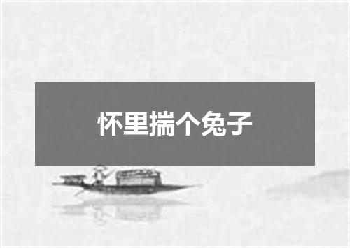 怀里揣个兔子