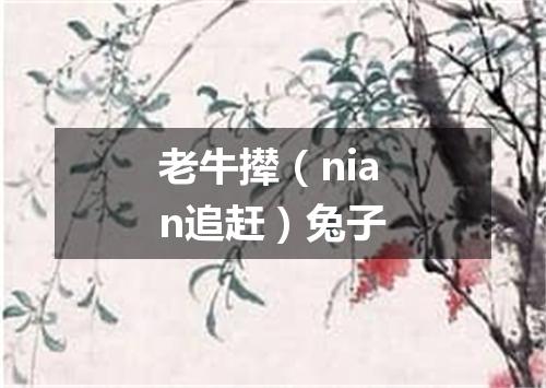 老牛撵（nian追赶）兔子