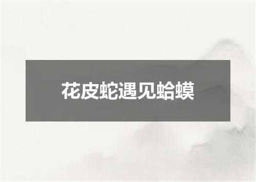 花皮蛇遇见蛤蟆
