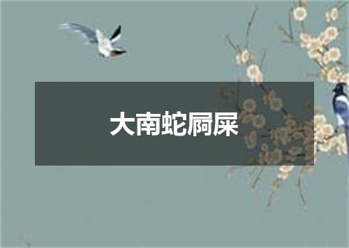 大南蛇屙屎