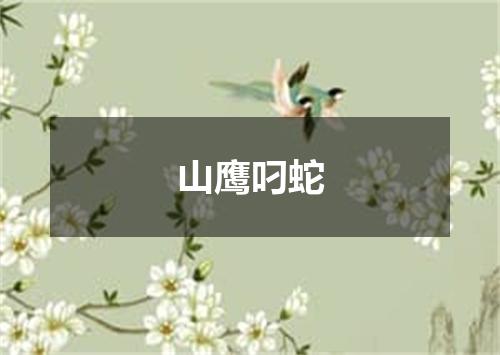 山鹰叼蛇