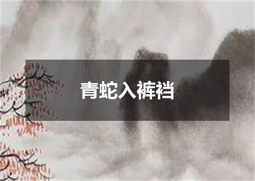 青蛇入裤裆
