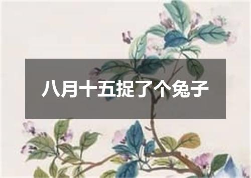 八月十五捉了个兔子