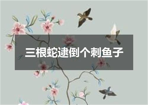 三根蛇逮倒个刺鱼子
