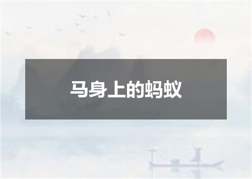 马身上的蚂蚁