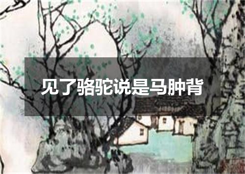 见了骆驼说是马肿背