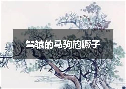 驾辕的马驹尥蹶子