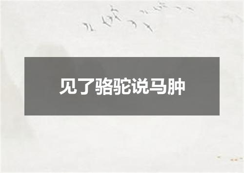 见了骆驼说马肿