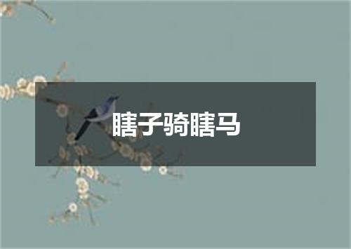瞎子骑瞎马