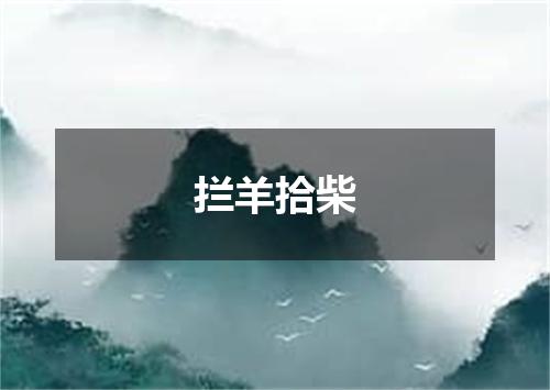拦羊拾柴