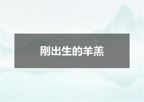 刚出生的羊羔