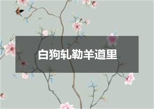 白狗轧勒羊道里