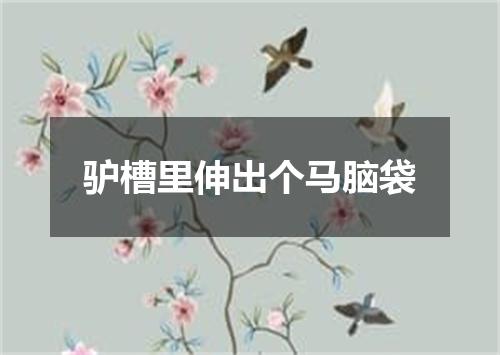 驴槽里伸出个马脑袋
