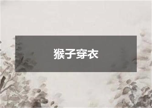 猴子穿衣