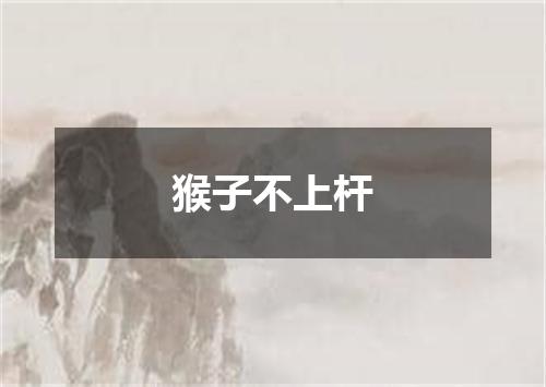 猴子不上杆