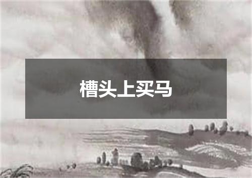 槽头上买马