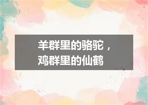 羊群里的骆驼，鸡群里的仙鹤