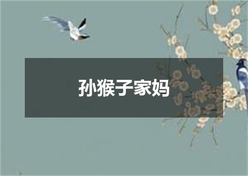 孙猴子家妈