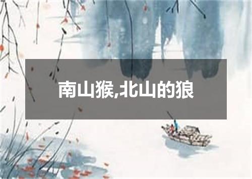南山猴,北山的狼
