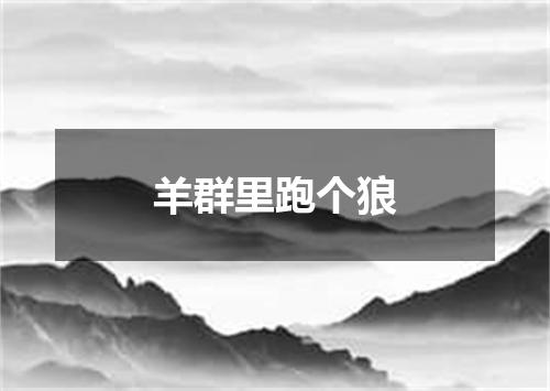 羊群里跑个狼