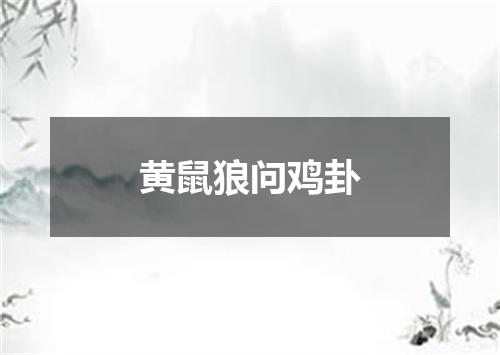 黄鼠狼问鸡卦