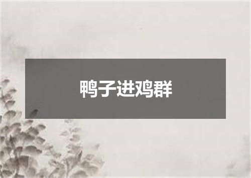 鸭子进鸡群