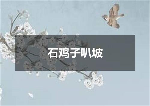 石鸡子叭坡