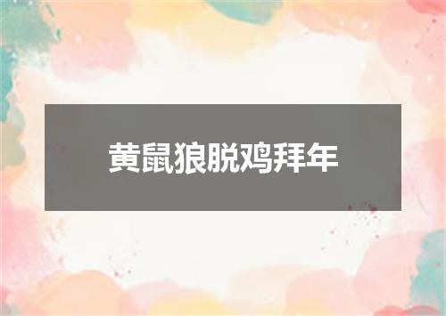 黄鼠狼脱鸡拜年