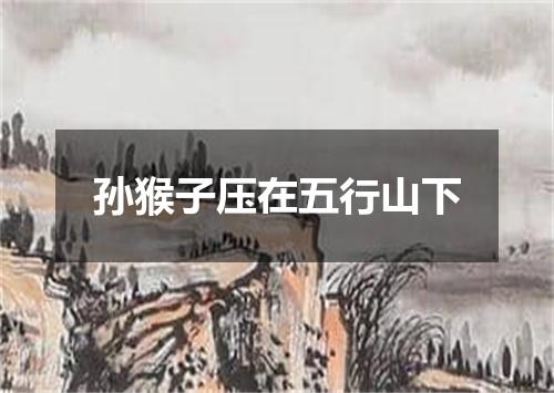 孙猴子压在五行山下