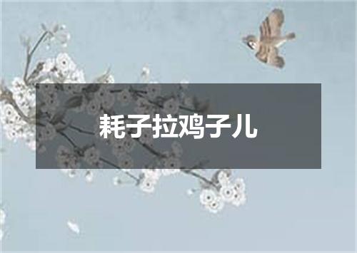 耗子拉鸡子儿