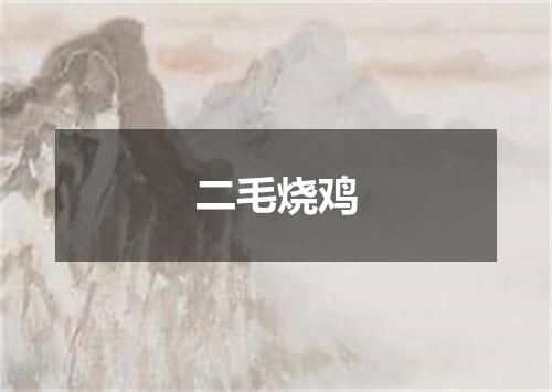 二毛烧鸡