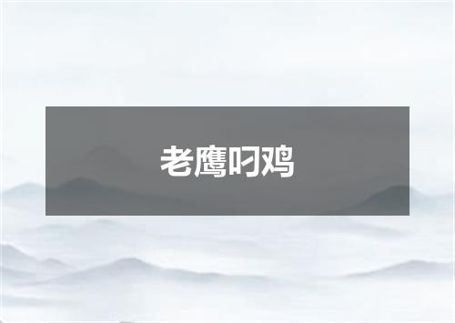 老鹰叼鸡