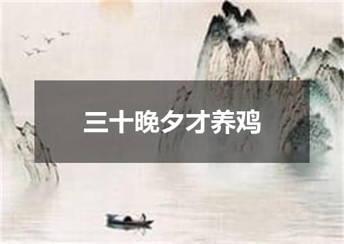 三十晚夕才养鸡