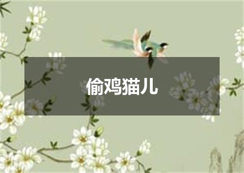 偷鸡猫儿