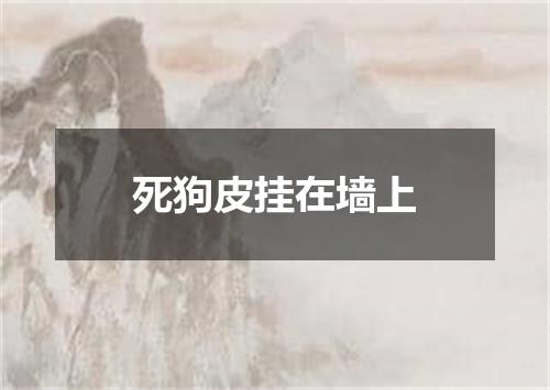 死狗皮挂在墙上