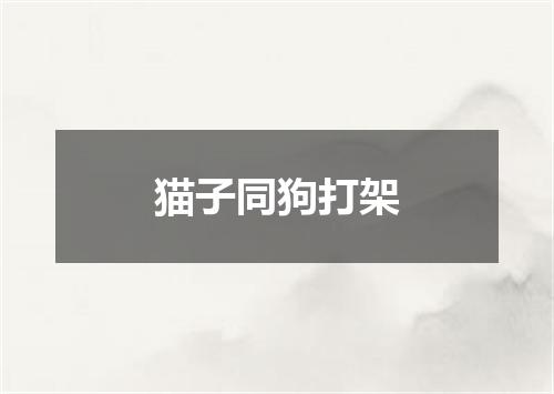 猫子同狗打架