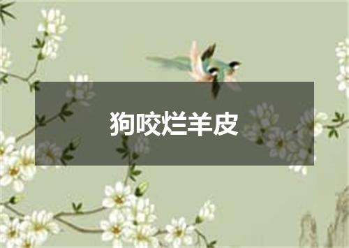 狗咬烂羊皮