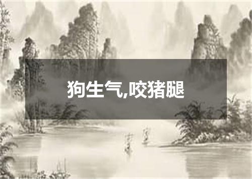 狗生气,咬猪腿
