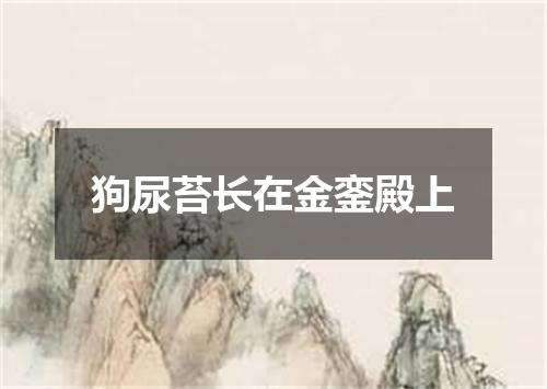 狗尿苔长在金銮殿上