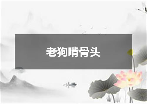 老狗啃骨头