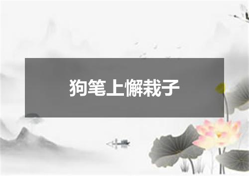 狗笔上懈栽子