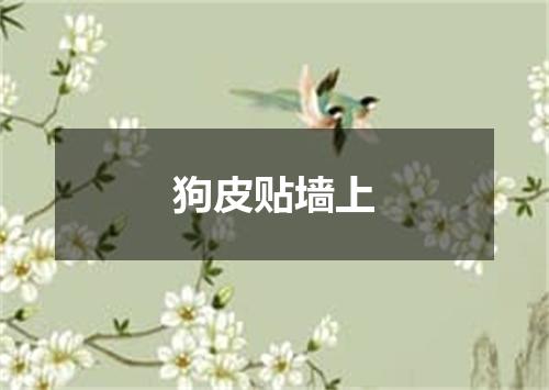 狗皮贴墙上