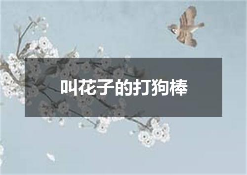 叫花子的打狗棒