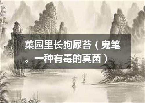 菜园里长狗尿苔（鬼笔。一种有毒的真菌）