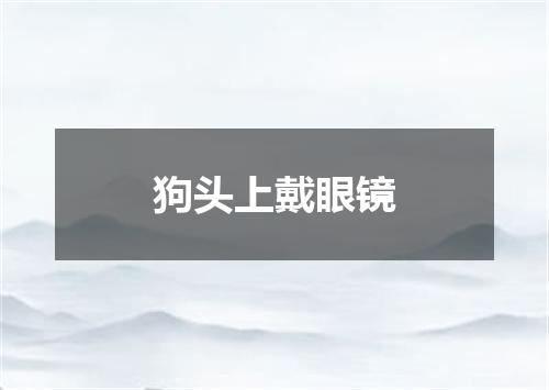 狗头上戴眼镜