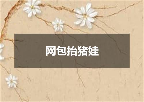 网包抬猪娃